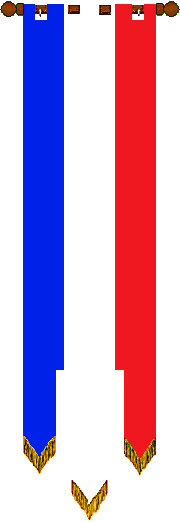 The kingdom of Terre Neuve blue white and red streamer