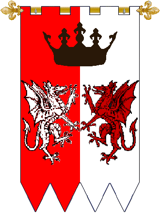 Barony Dreki Lopt
Per pale Gules and Argent, a crown Sable and two dragons combattant Counterchanged. Dreki Lopt Barony heraldry
