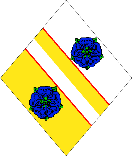  arms: Per bend Argent and Or a bend per bend Counterchanged fimbriated Gules between two roses Azure barbed and seeded Vert.